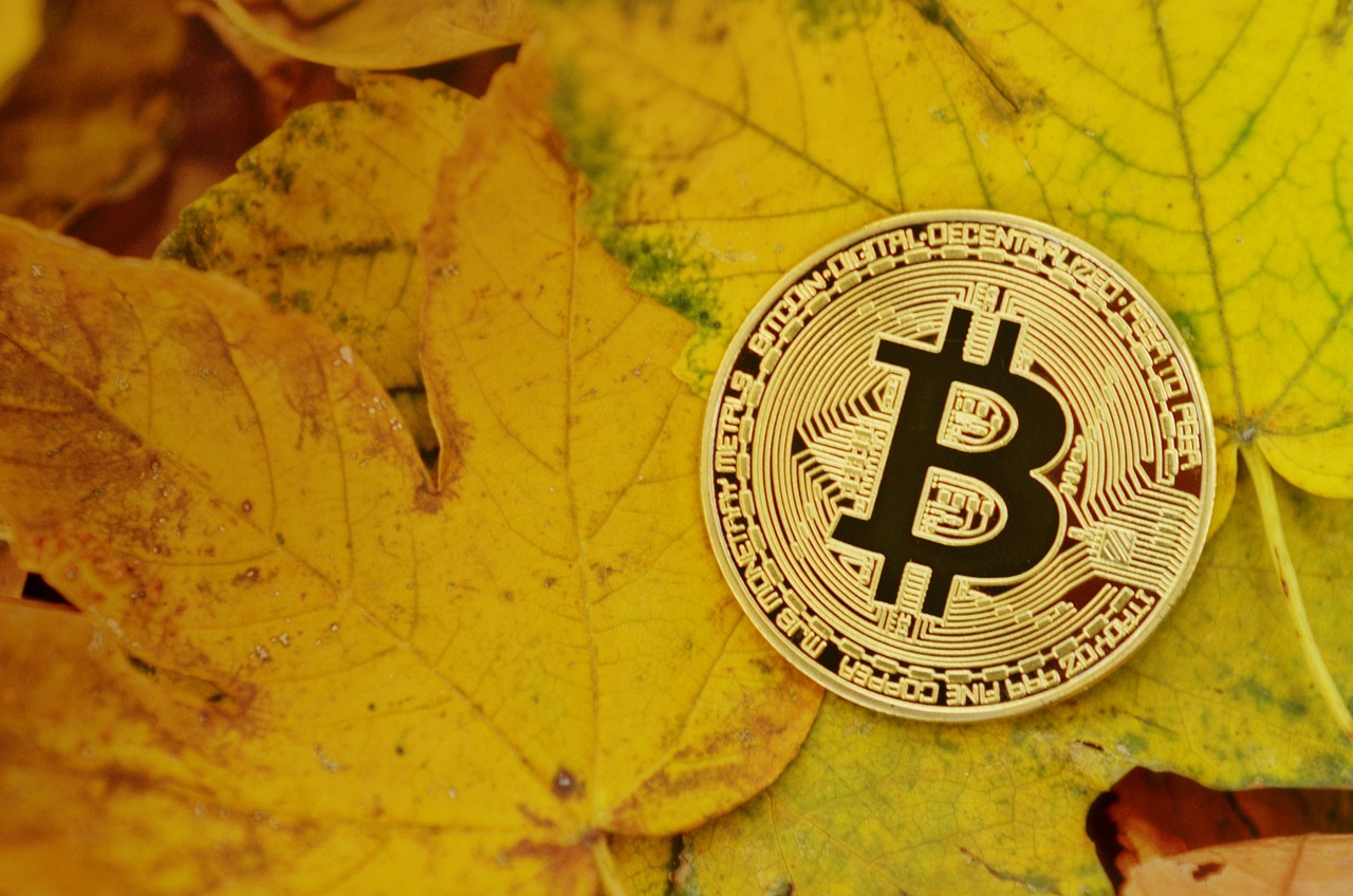 公链Solayer推出USDC结算的金融卡！刷卡有机会获得代币Layer